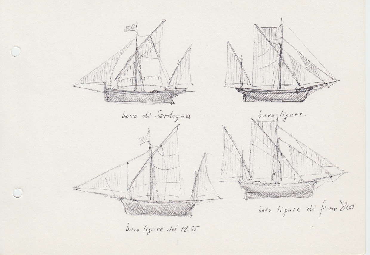 006 Bovo di Sardegna - ligure - ligure del 1855 - di fine '800